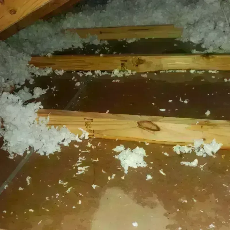 Attic Water Damage in Royston, GA